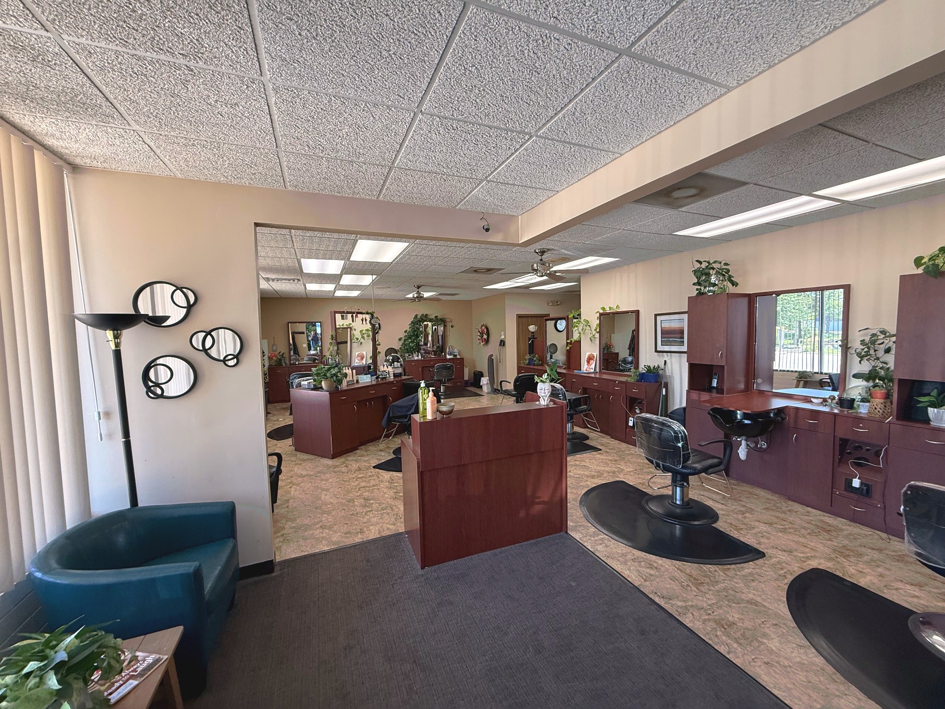 View from the reception area at Clipped Accent looking into the salon, with styling stations, mirrors, and plants
