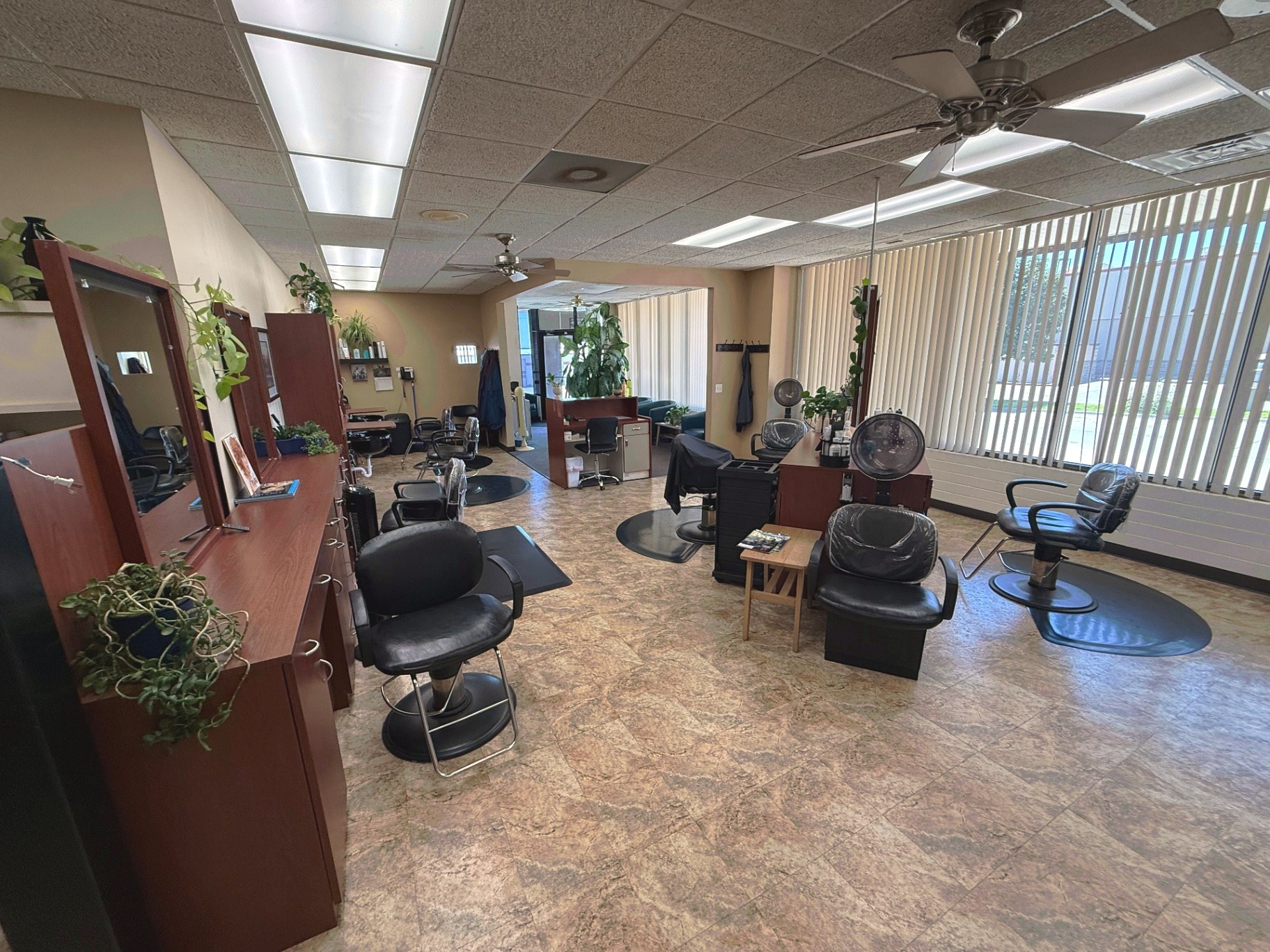 The welcoming floor of Clipped Accent with styling chairs, shampoo bowl, plants, and warm natural light